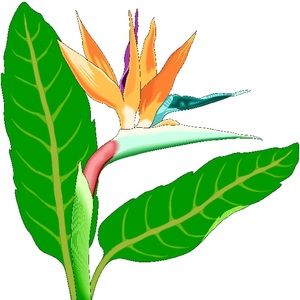 Meet your Posher, Elliot